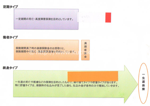 各保険の特徴が分かりやすく説明されています